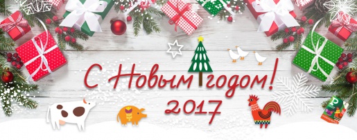 Мы желаем Новый год, провести вам без хлопот! Мы желаем Новый год, провести вам без хлопот!