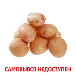 Картофель Синеглазка вес.
