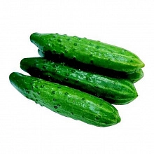 Огурцы среднеплодные пупырчатые
