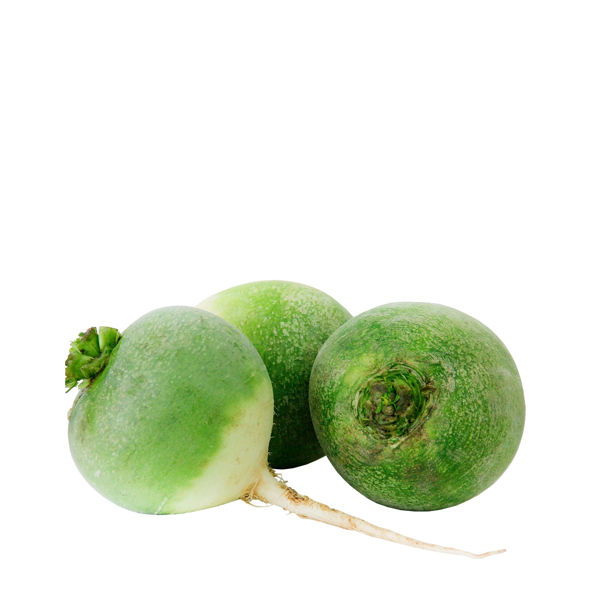 Редька зеленая