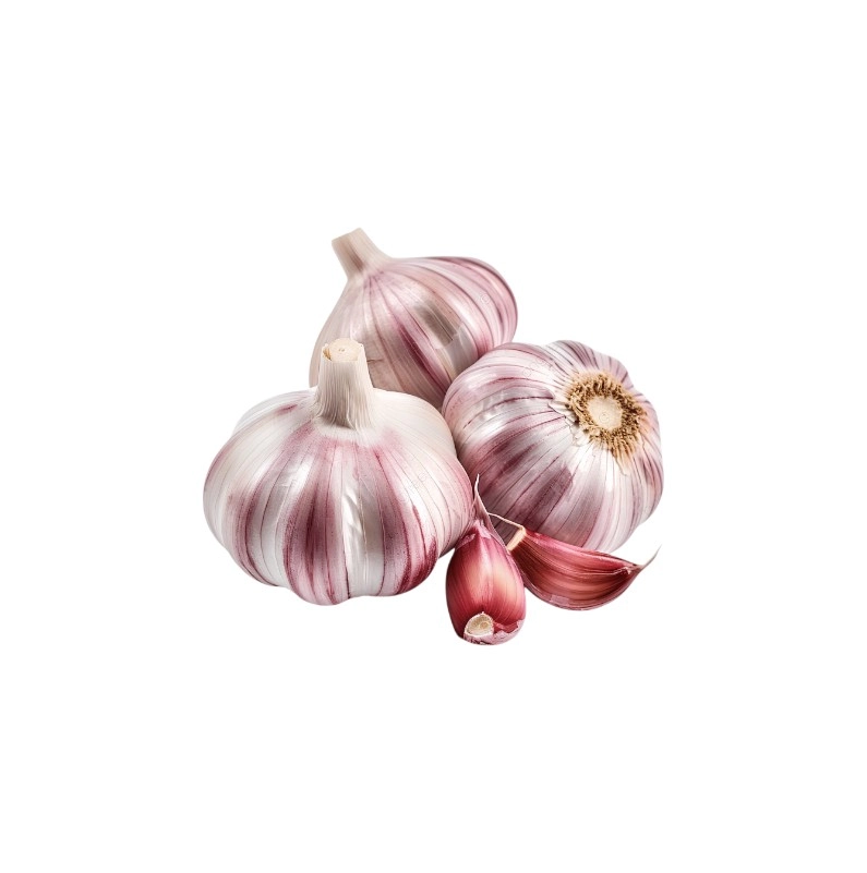 Чеснок Россия