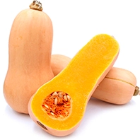 Тыква баттернат