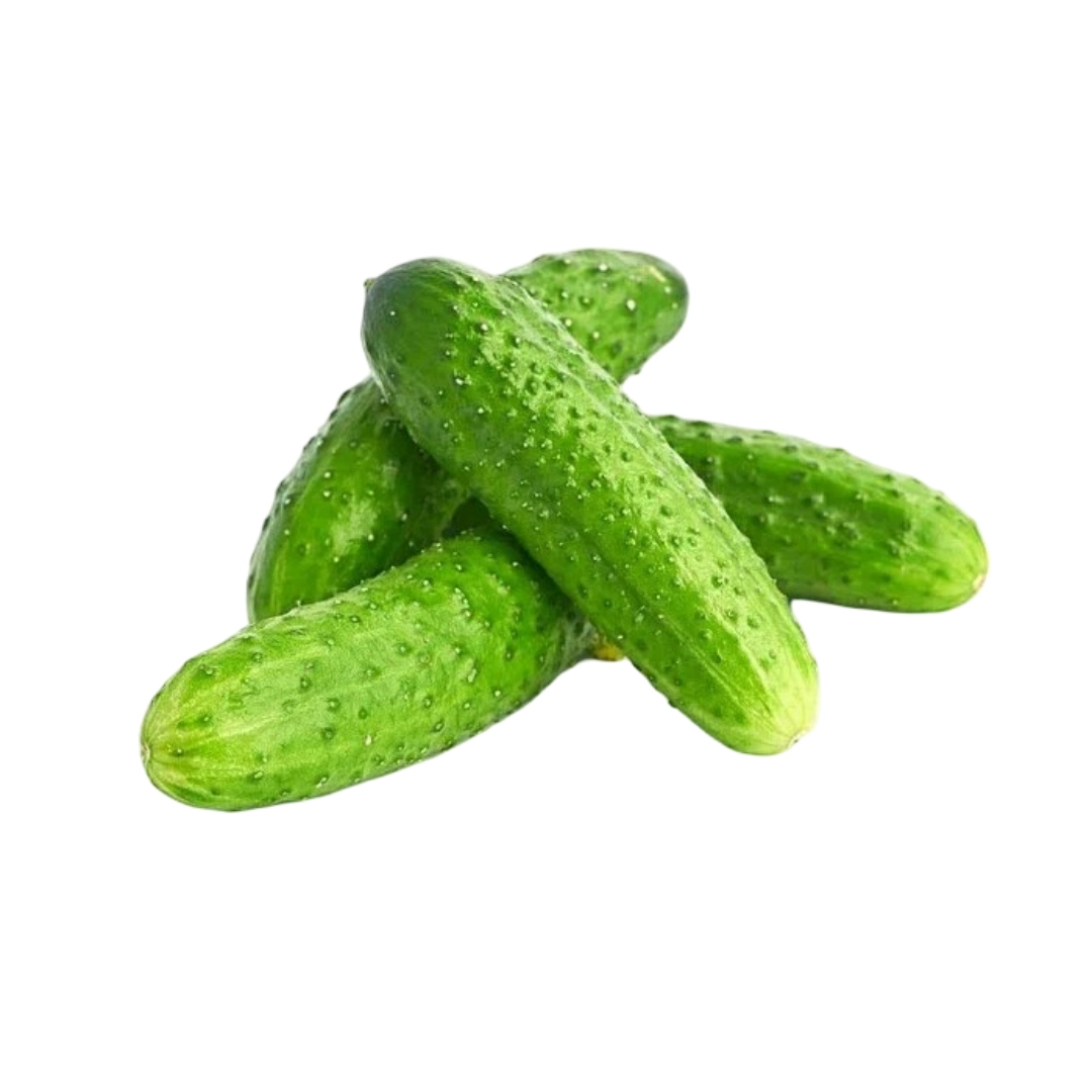 Огурцы Машенька