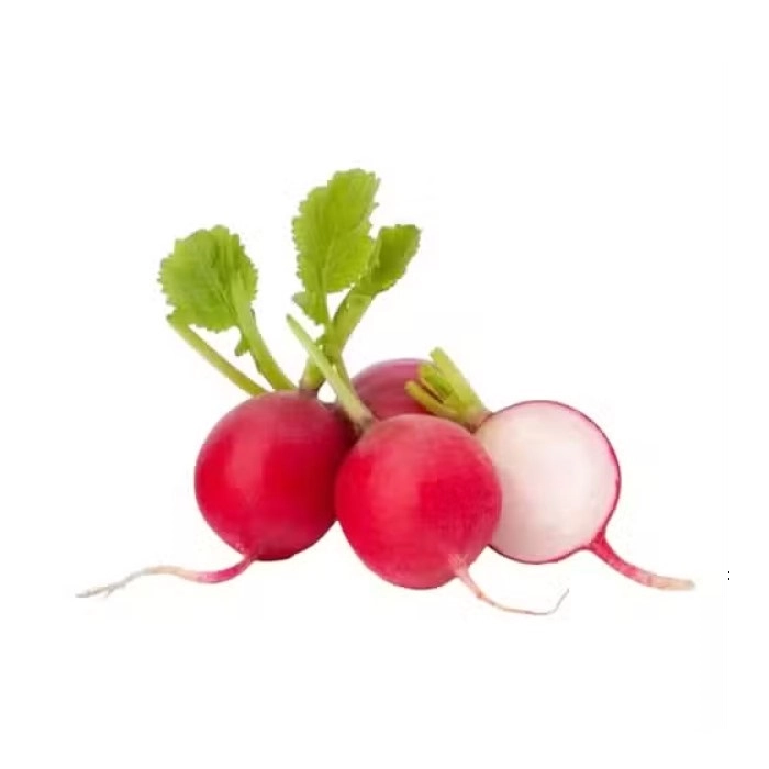 Редис молодой
