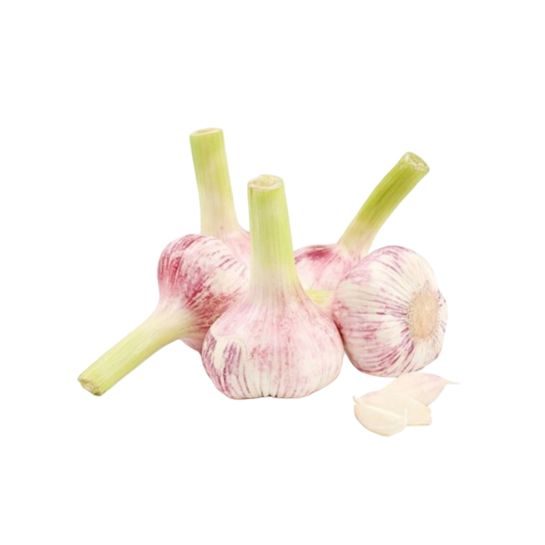 Чеснок свежий Иран