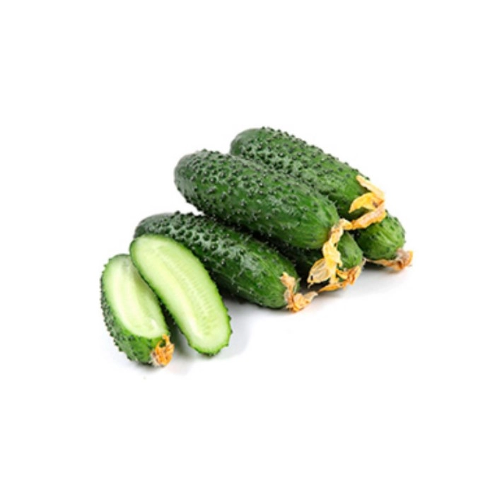 Огурцы Рязань