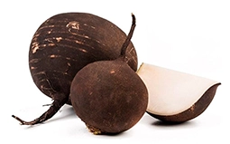 Редька черная