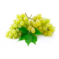 Виноград Кишмиш Белый